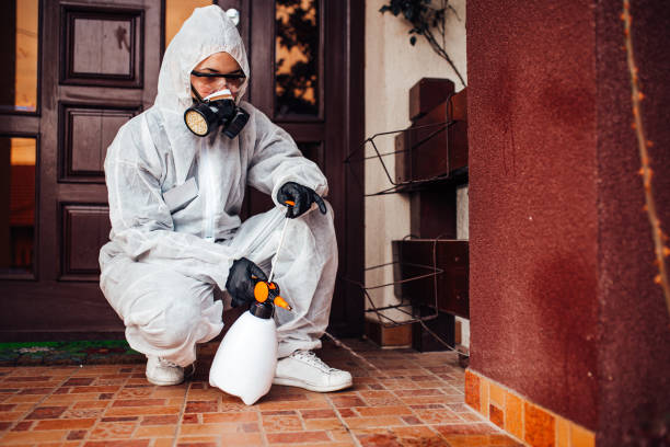Reliable Wasp Removal contractor in Grand Ronde, OR by Show Me Pest Control
